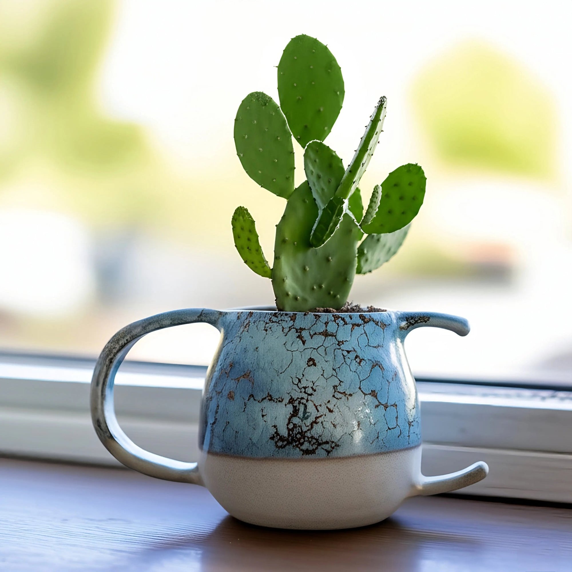 Tasse en céramique le craquelé de l'océan - Pot à cactus unique - asceramique